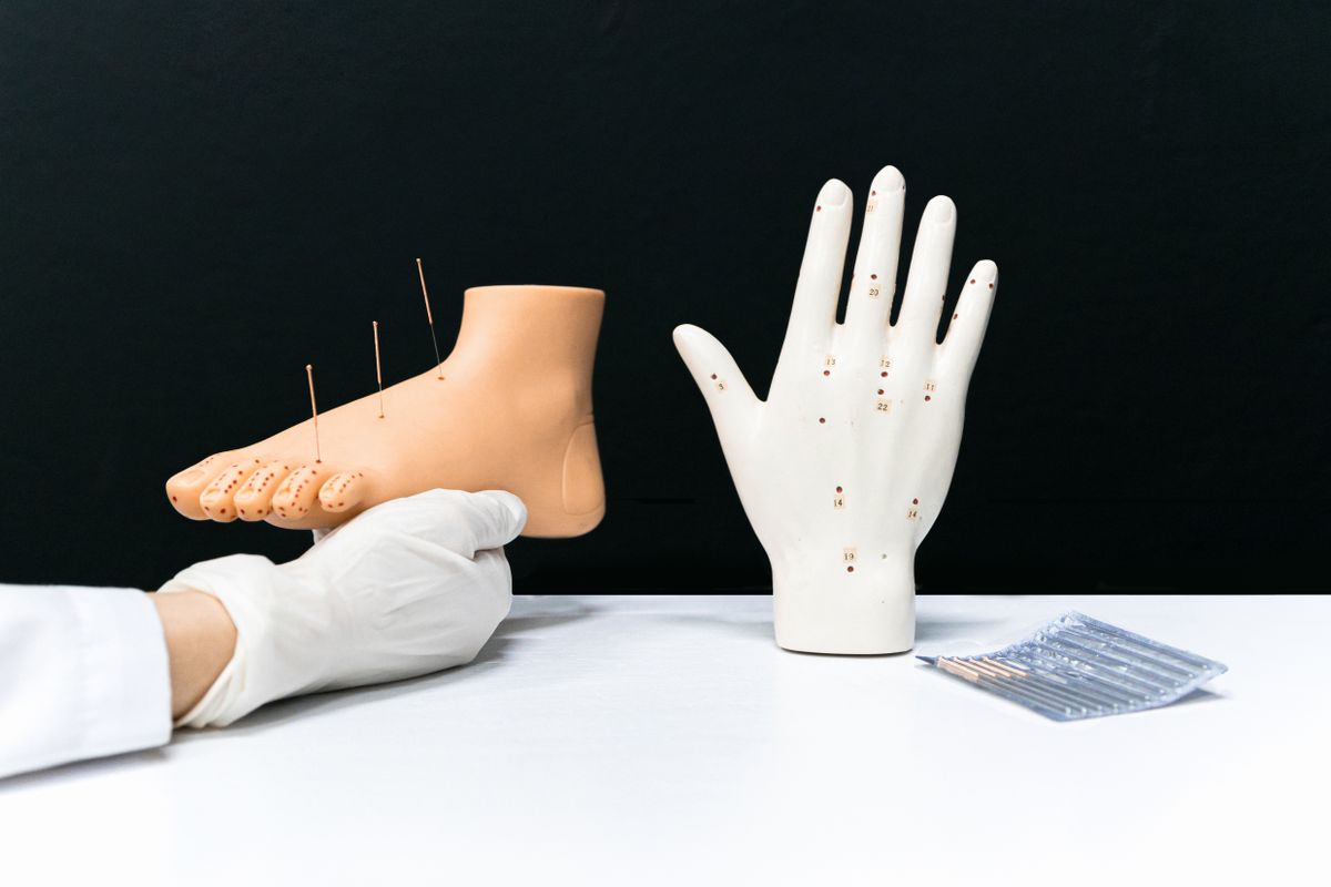 Best New Acupuncture Practice Tools Compared in 2026