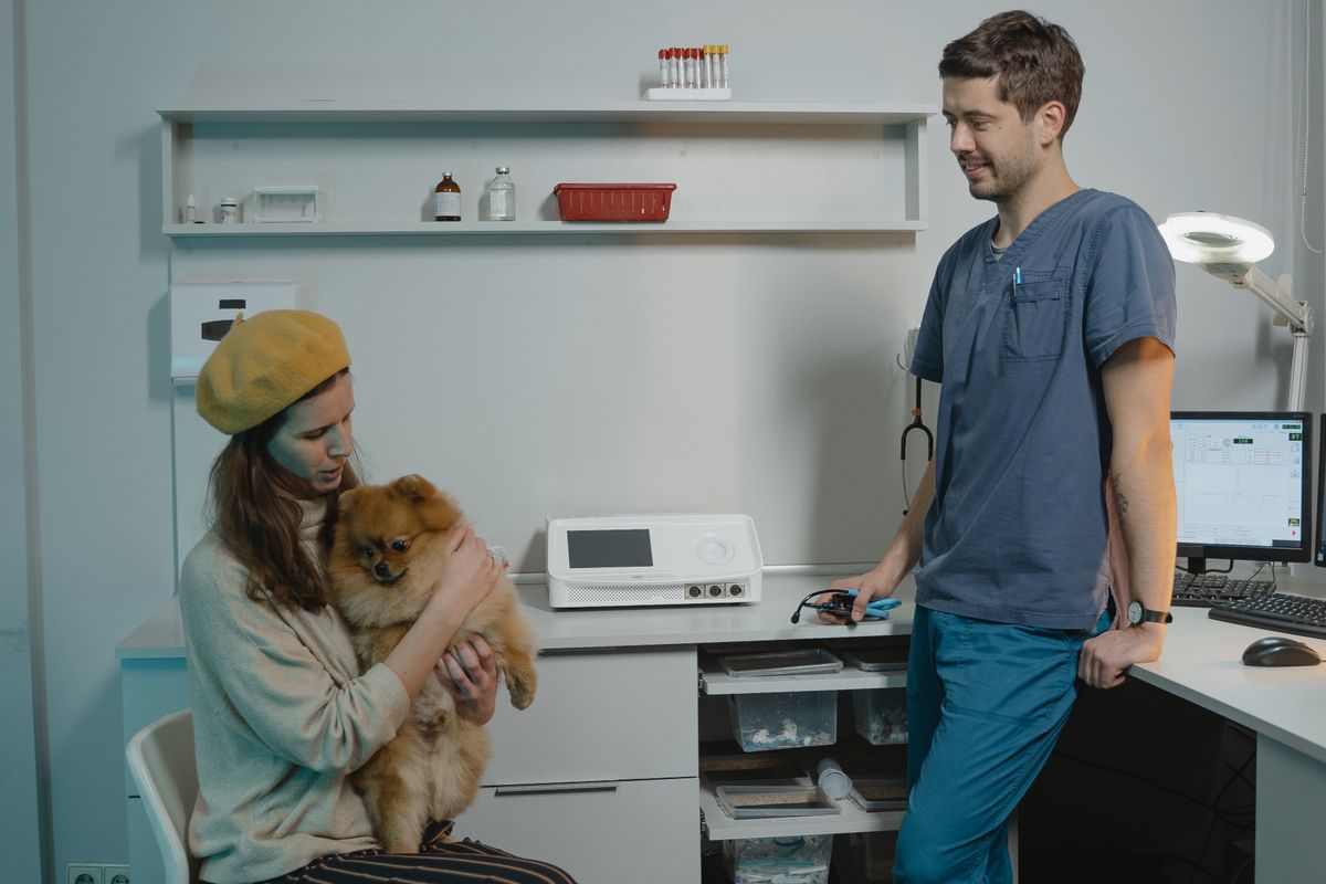 Best Small Animal Practice Tools Compared in 2026