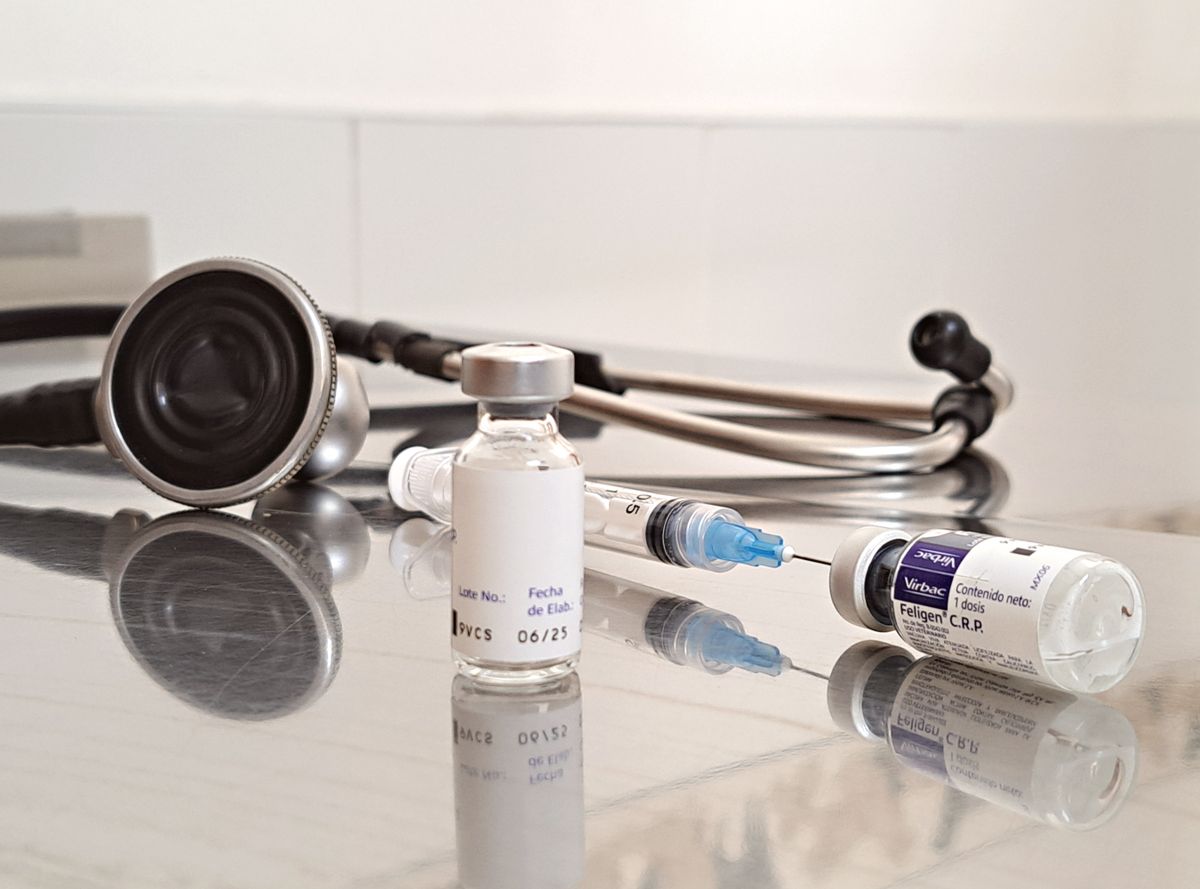 How to Price Your Services as a New Vet Clinic