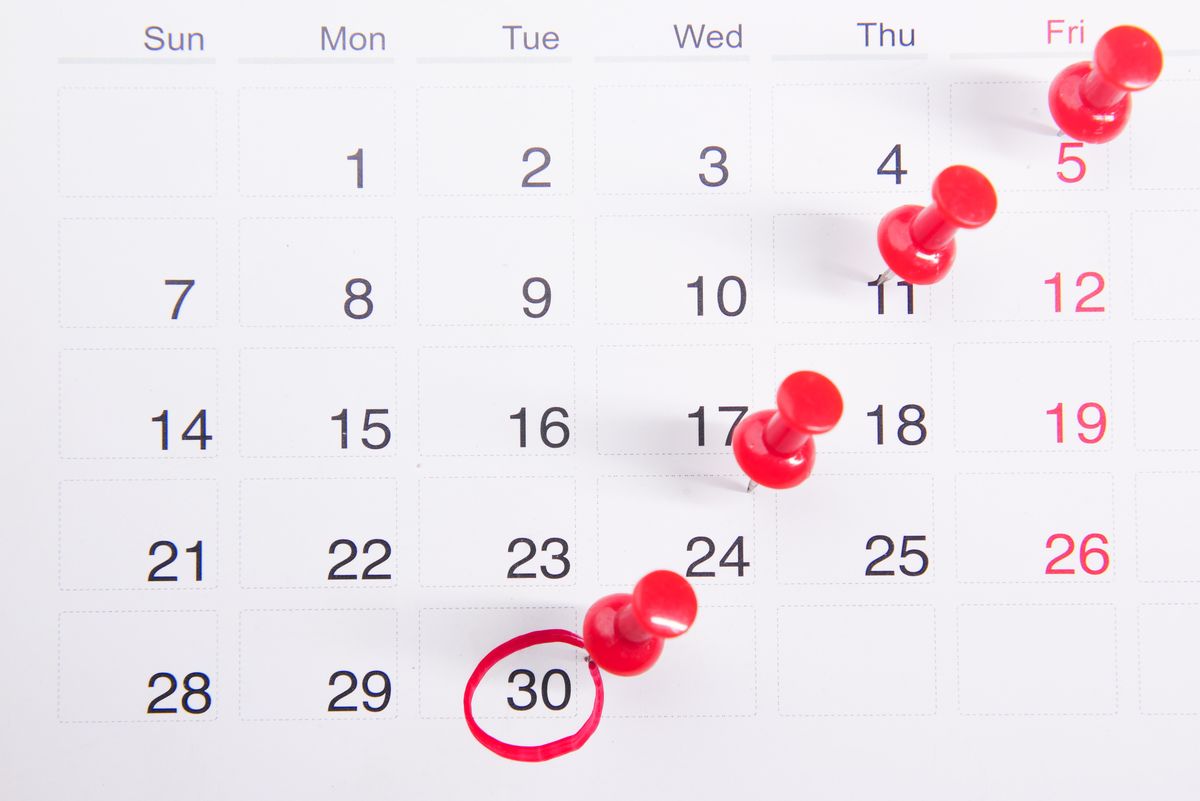 The New Vet Clinic Tax Calendar: Every Deadline You Cannot Miss