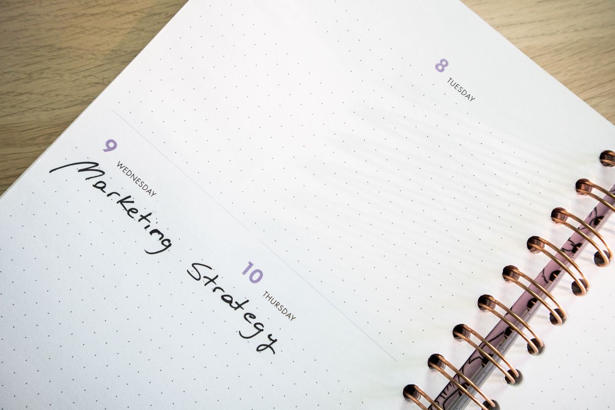 The Solo Chiropractor Practice Tax Calendar: Every Deadline You Cannot Miss